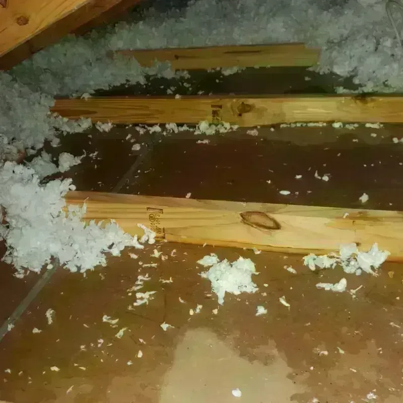 Attic Water Damage in Andrew County, MO